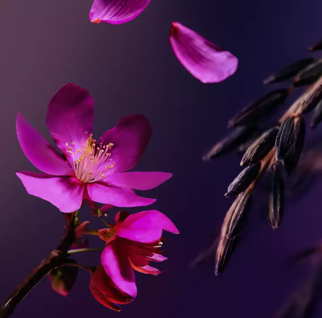 Rituals The Ritual Of Yozakura Recovery Hand Balm