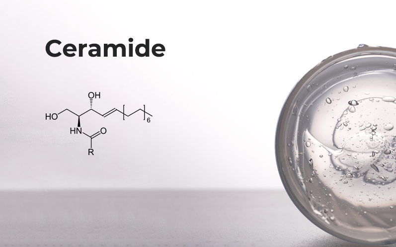 Навіщо цераміди додають в косметику