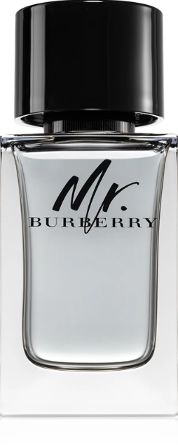 Burberry Mr. Burberry Eau de Toilette